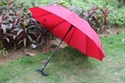Image de walking stick umbrella