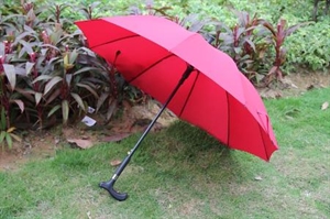 Image de walking stick umbrella