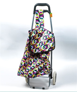 Picture of TRAVEL BAG