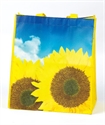 Picture of BAG