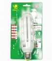 Image de LIGHT BULB