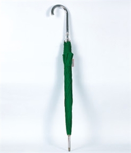 Picture of UMBRELLA