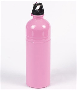Image de STAINLESS TRAVEL BOTTLE