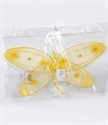 Image de dragonfly