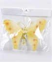 Image de butterfly