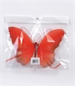 Image de butterfly