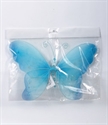 Image de butterfly