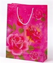 Image de BAG