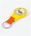 Image de COMPASS
