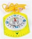 Image de COMPASS