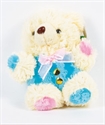 Picture of BEAR