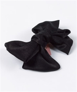 Image de HAIR CLIP