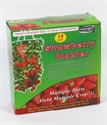 Image de Strawberry Planter