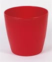 Image de FLOWER POT