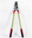 Image de PRUNING SHEARS