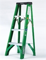 Image de LADDER