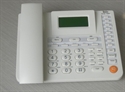 NET2006 IP Phone